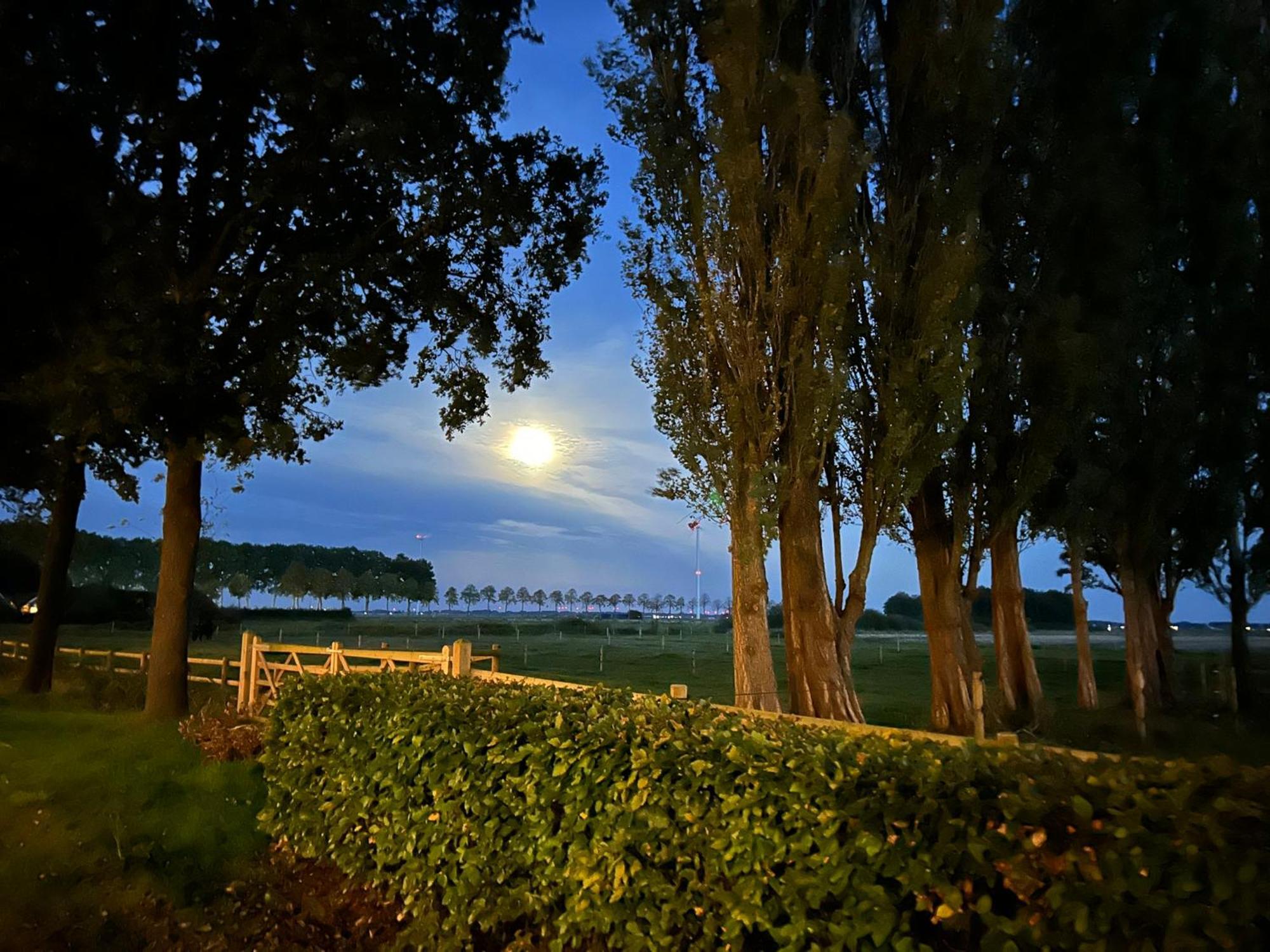 De Cordobahoeve Tweede Exloermond 外观 照片