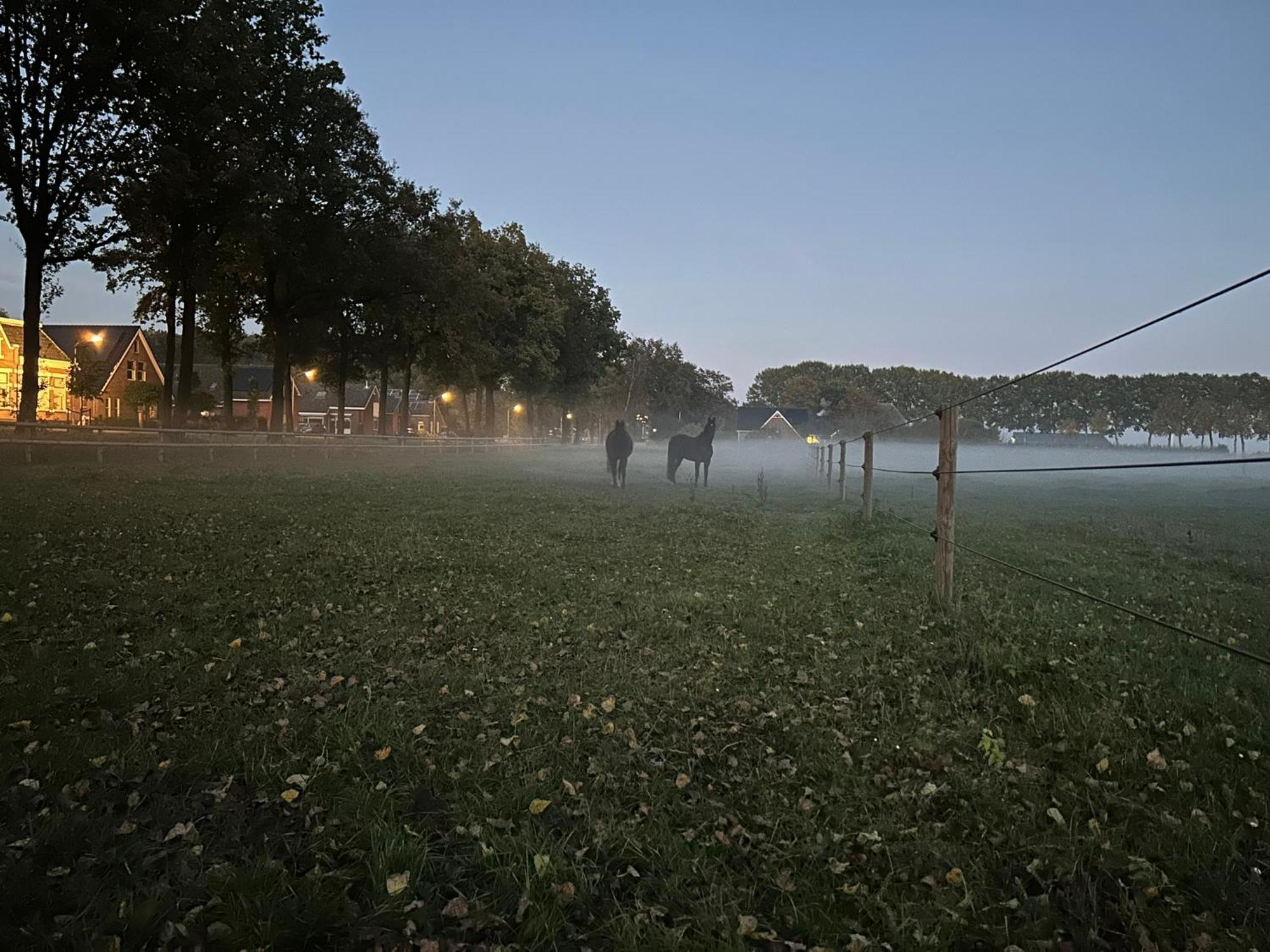 De Cordobahoeve Tweede Exloermond 外观 照片