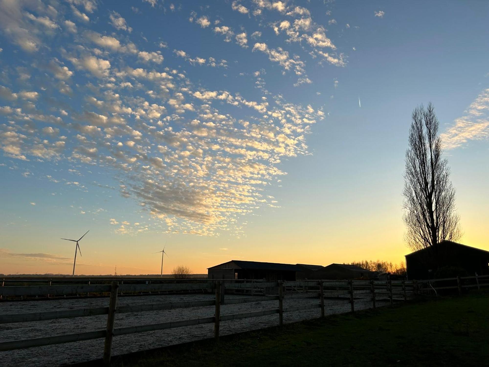 De Cordobahoeve Tweede Exloermond 外观 照片