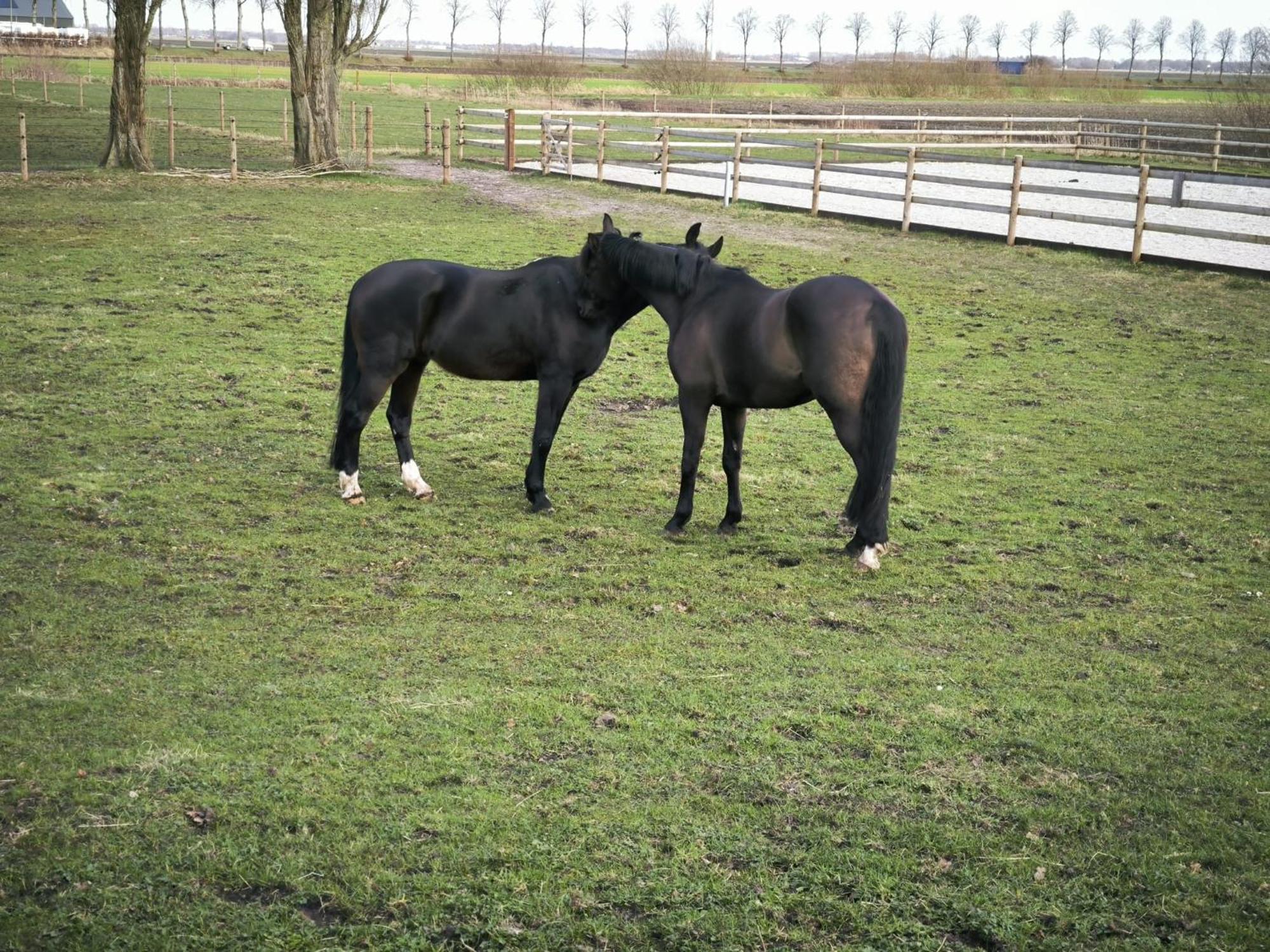 De Cordobahoeve Tweede Exloermond 外观 照片